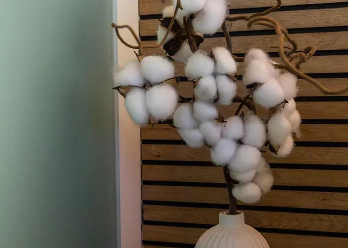 Younique Boutique 게스트하우스